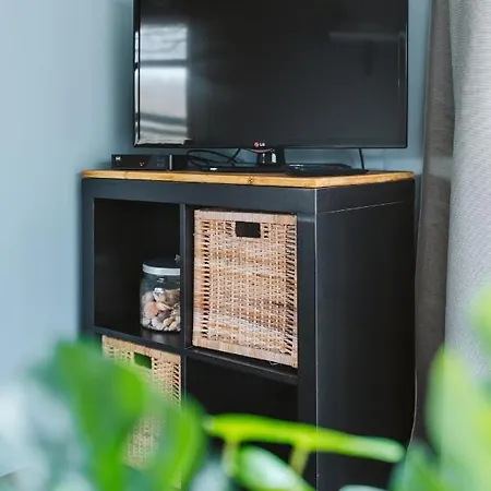 Chalet Chalet 41 - Haayse Bos *