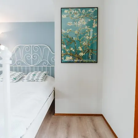 Chalet Chalet 41 - Haayse Bos *