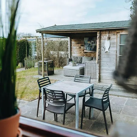 Chalet Chalet 41 - Haayse Bos Ouddorp